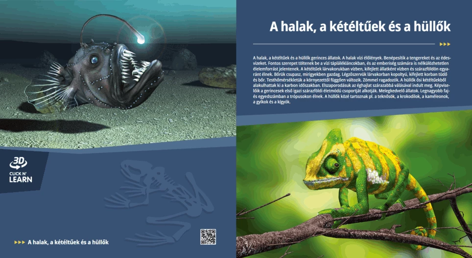 Fish, Amphibians and Reptiles
