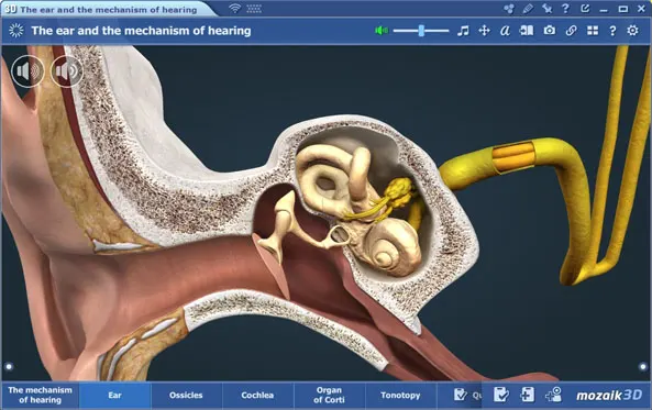 Καινοτόμα ψηφιακή εκπαίδευση