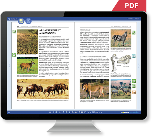 PDF ή HTML
