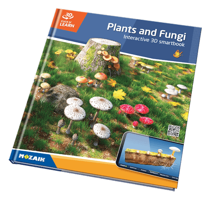 σειρά 20 δημοσιεύσεων, με 800 μοντέλα 3D