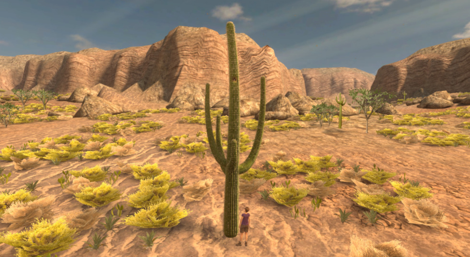 The saguaro cactus