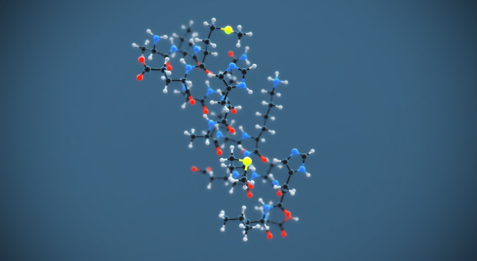 Η δευτεροταγής δομή των πρωτεϊνών