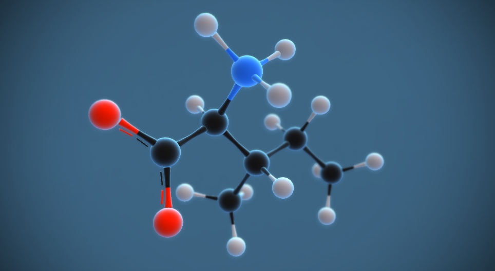 Ισολευκίνη