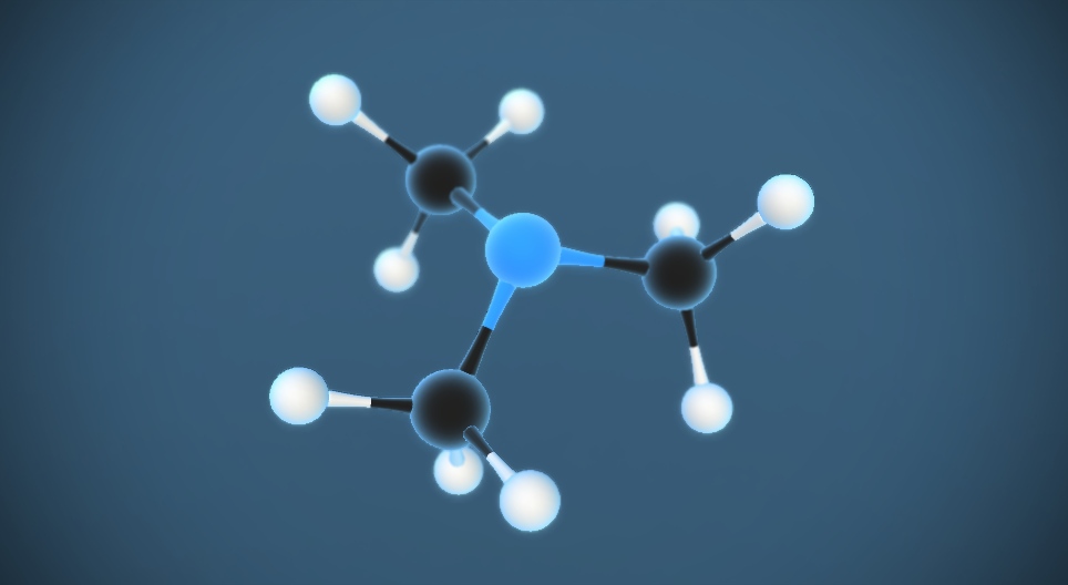 Τριμεθυλαμίνη N(CH₃)₃