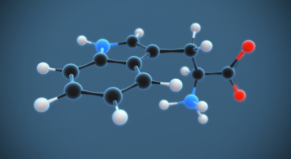 Τρυπτοφάνη