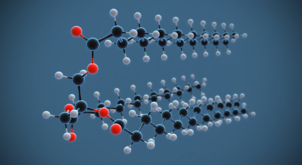 Μόριο λίπους