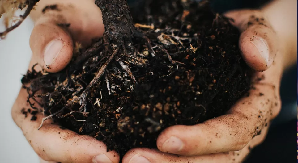 How does soil form?