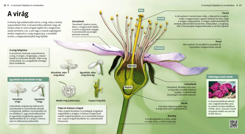 La flor