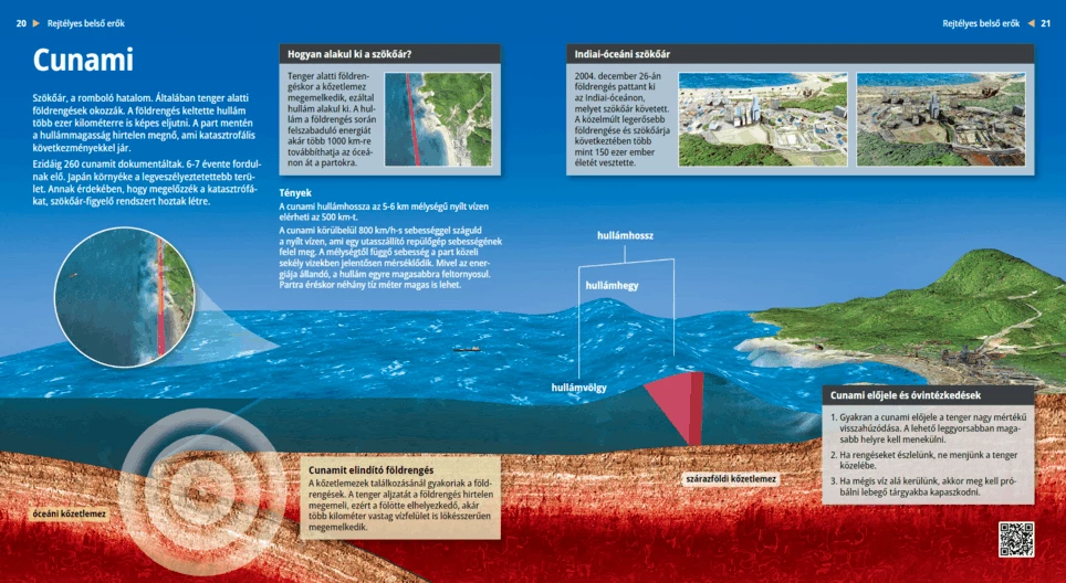 Los tsunamis