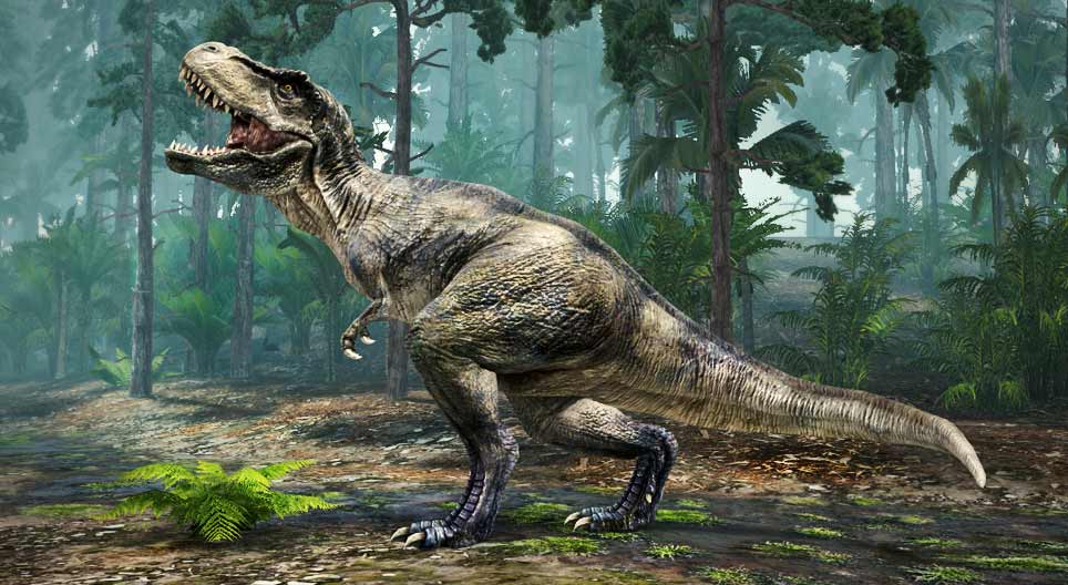 Tyrannosaurus rex “lagarto tirano”