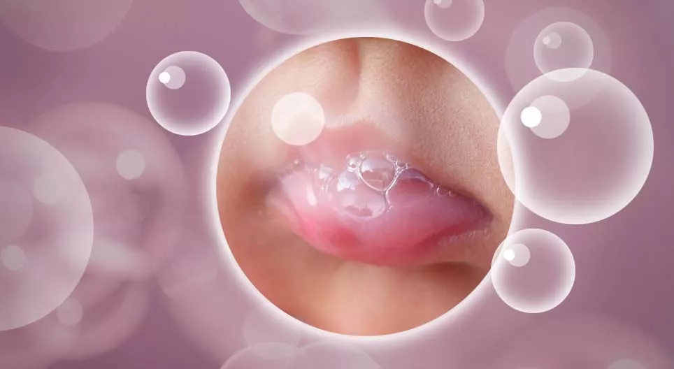 La salive, un fluide corporel polyvalent