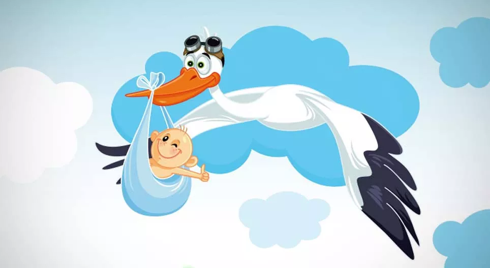 Les cigognes livrent-elles les bébés ?