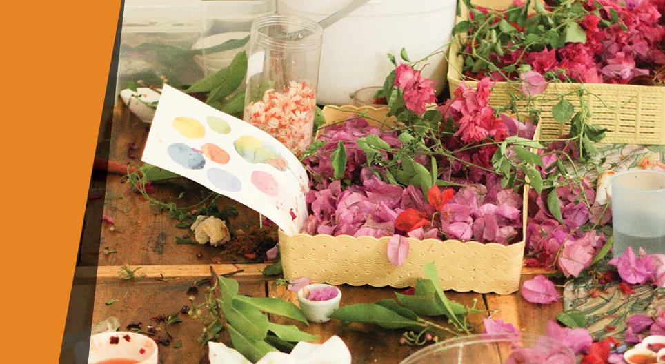Peindre avec des plantes