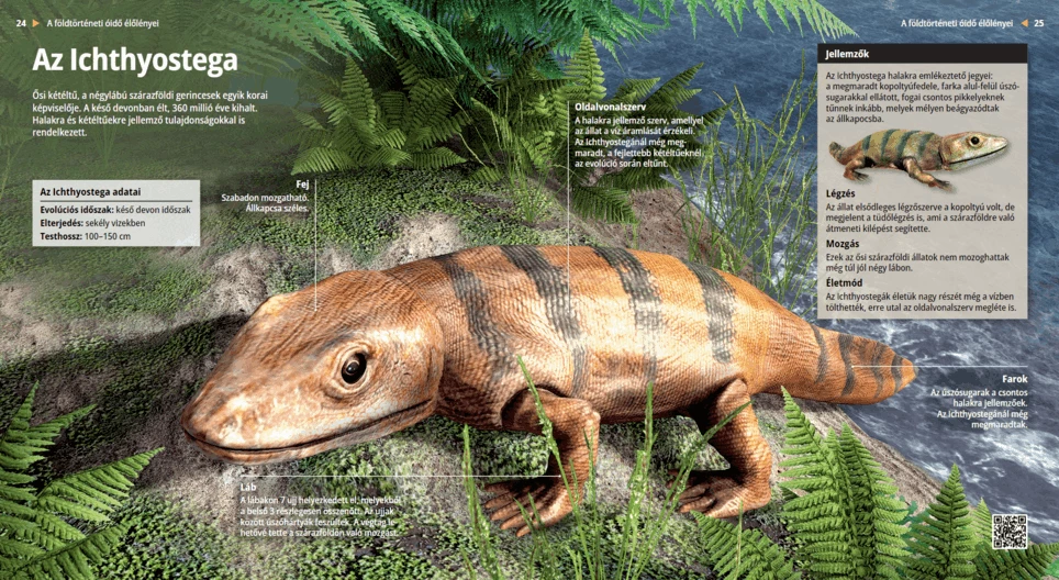 Ihtiostega