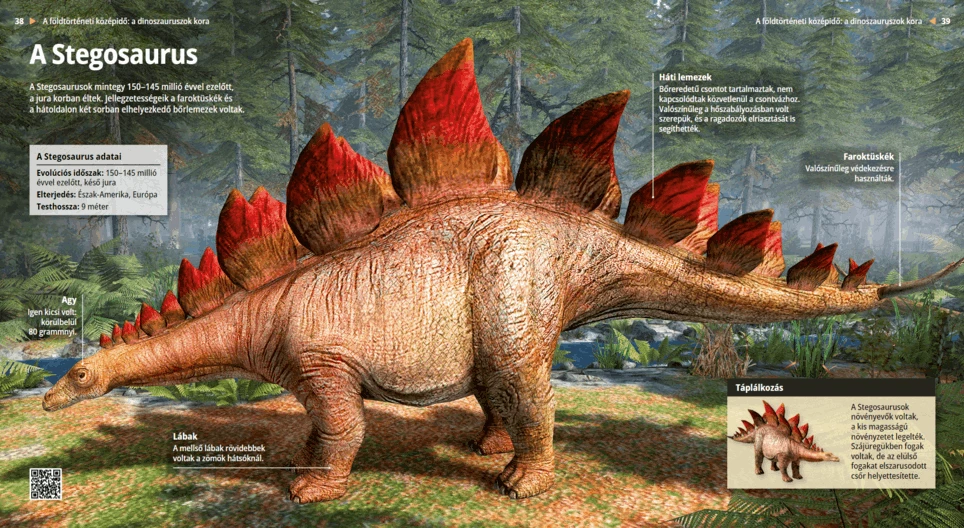 Stegosaur
