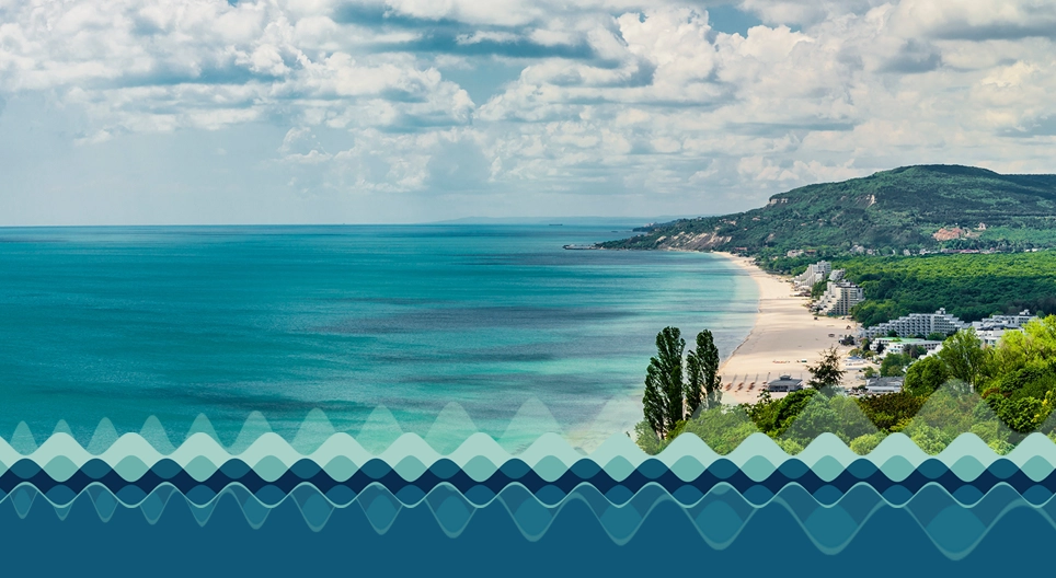 The Black Sea
