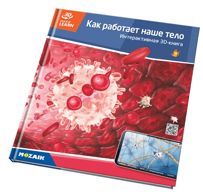 20 кітаптан тұратын серияда 800 3D көрініс бар.