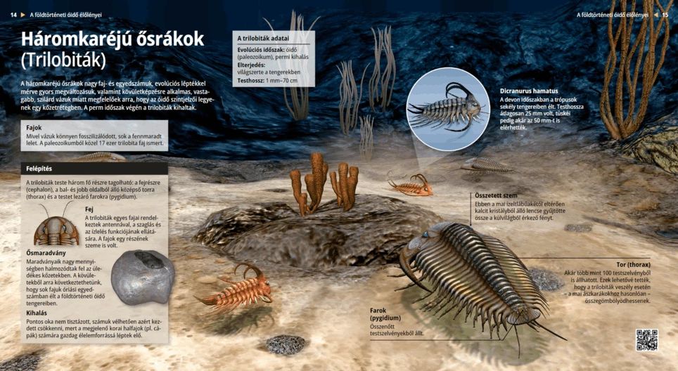 Trilobites