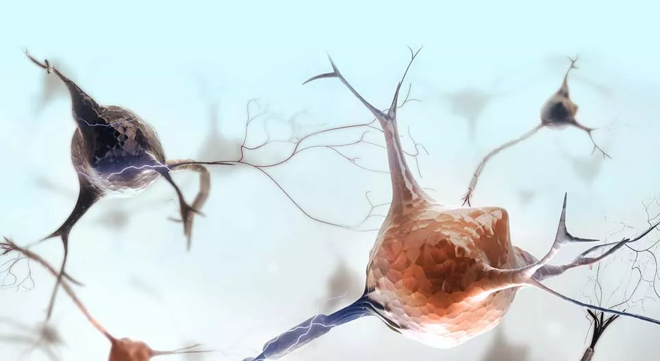 Kokios yra nervų audinio savybės?