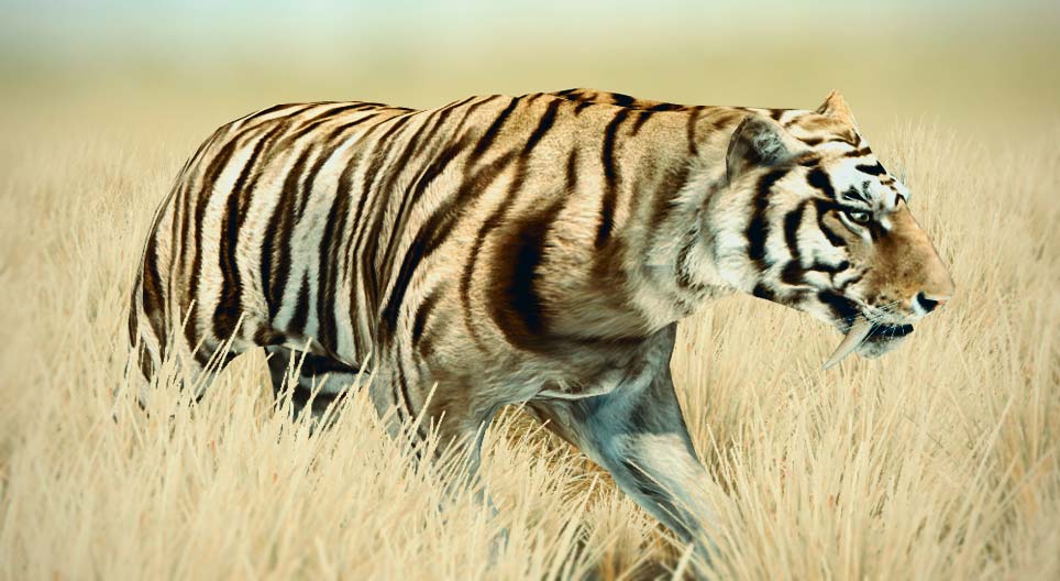 Sabre-toothed cat