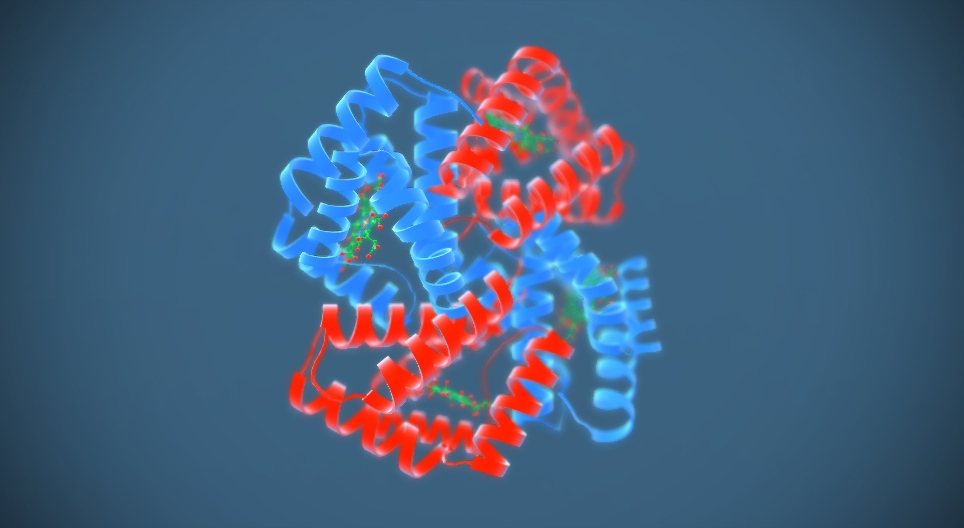 Hemoglobinas