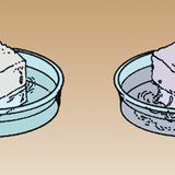 Sugar dissolves easier in warm water than in cold water