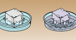 Sugar dissolves easier in warm water than in cold water