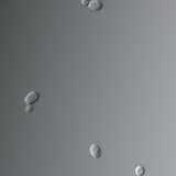 Μύκητας Κάντιντα (συνήθως προκαλεί κολπική λοίμωξη)