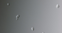 Μύκητας Κάντιντα (συνήθως προκαλεί κολπική λοίμωξη)