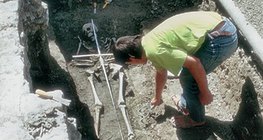 The archaeologist at work