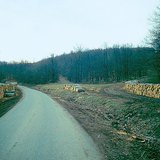 Κορμοί από υλοτομία