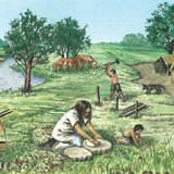 Animal husbandry in ancient times 