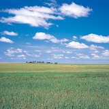 Ουγγρική πεδιάδα