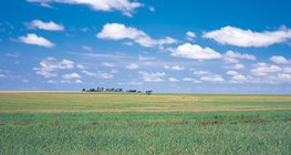 Ουγγρική πεδιάδα