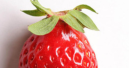 Φράουλα