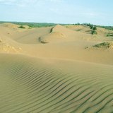 Sand hill with wind ripples
