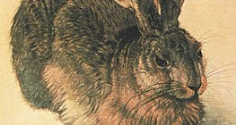 Albrecht Dürer - Hare (1502)