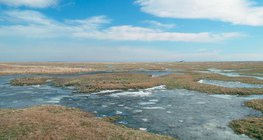 Έδαφος πεδιάδων