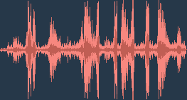 Αγριόπαπια