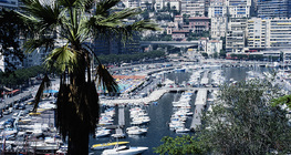 Port of Monte Carlo