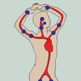 Pressure points used to stop arterial bleeding