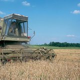 Az Alföld, az ország „éléstára”