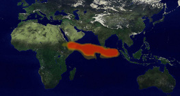 The path of the sulphur dioxide's spread after the eruption of Mount Pinatubo