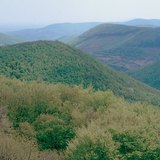 βουνά μεσαίου ύψους