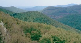 βουνά μεσαίου ύψους