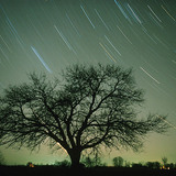 Startrails