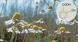 Το σαλικυλικό οξύ έχει παράγωγα με θεραπευτική δράση