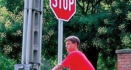 Το έντονο χρώμα στις πινακίδες εγείρει την προσοχή