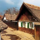 Σπίτι με καλαμοσκεπή