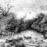 Υγροβιότοπος